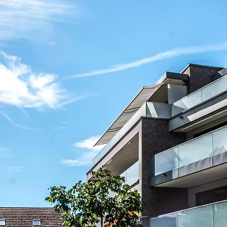 Edelwyss - Griwa Rent Ag * إنترلاكن